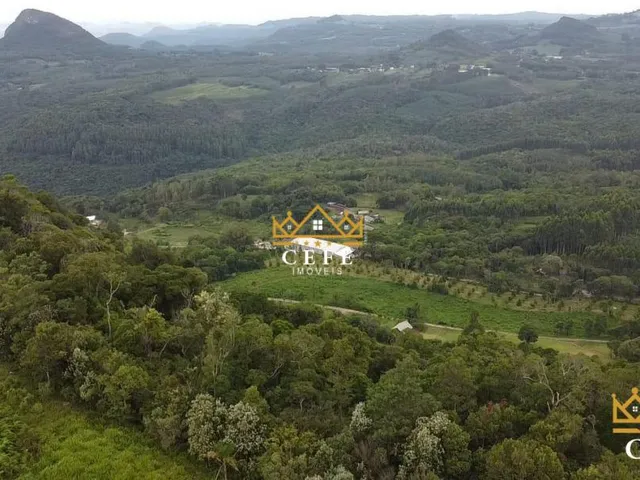 Imagem 2: Área de terra, ideal para sítio em Gramado / RS - Serra Gaúcha