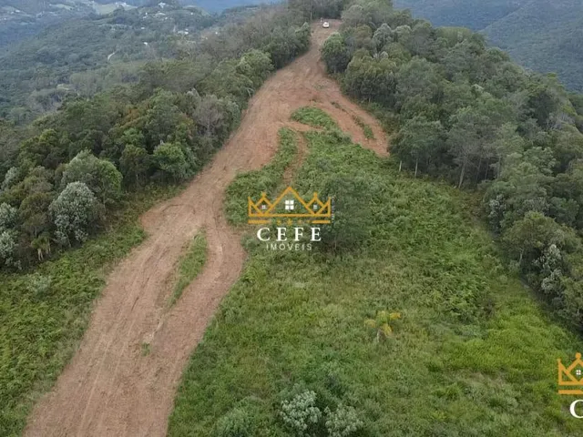 Imagem 4: Área de terra, ideal para sítio em Gramado / RS - Serra Gaúcha