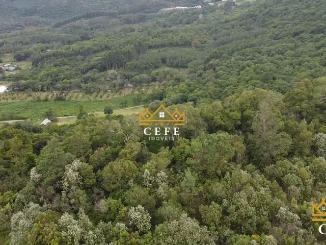 Imagem 5: Área de terra, ideal para sítio em Gramado / RS - Serra Gaúcha