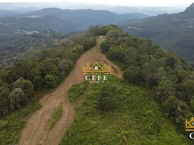 Imagem 6: Área de terra, ideal para sítio em Gramado / RS - Serra Gaúcha
