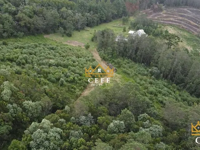 Imagem 7: Área de terra, ideal para sítio em Gramado / RS - Serra Gaúcha