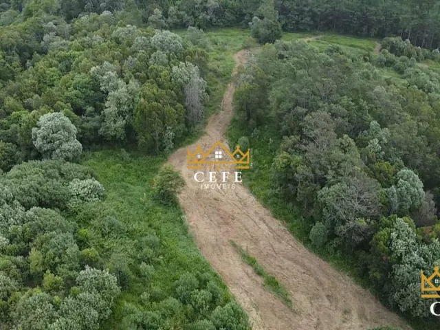 Imagem 8: Área de terra, ideal para sítio em Gramado / RS - Serra Gaúcha