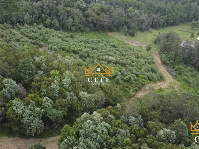 Imagem 9: Área de terra, ideal para sítio em Gramado / RS - Serra Gaúcha