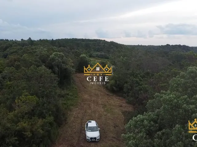 Imagem 10: Área de terra, ideal para sítio em Gramado / RS - Serra Gaúcha