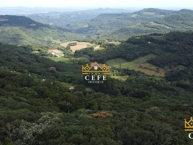 Imagem: Sítio à venda em Morro Reuter, São José