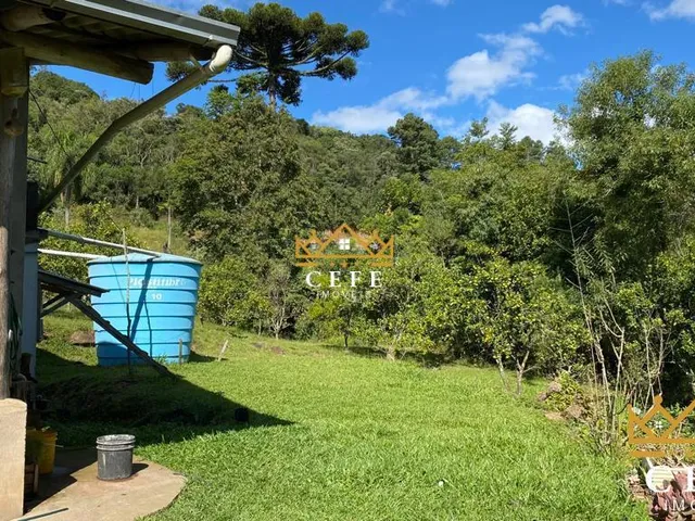 Imagem 2: Chácara Sítio com 1 Dormitorio(s) localizado(a) no bairro Padre Eterno Ilges em Santa