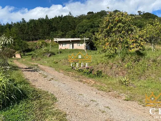 Imagem 7: Chácara Sítio com 1 Dormitorio(s) localizado(a) no bairro Padre Eterno Ilges em Santa