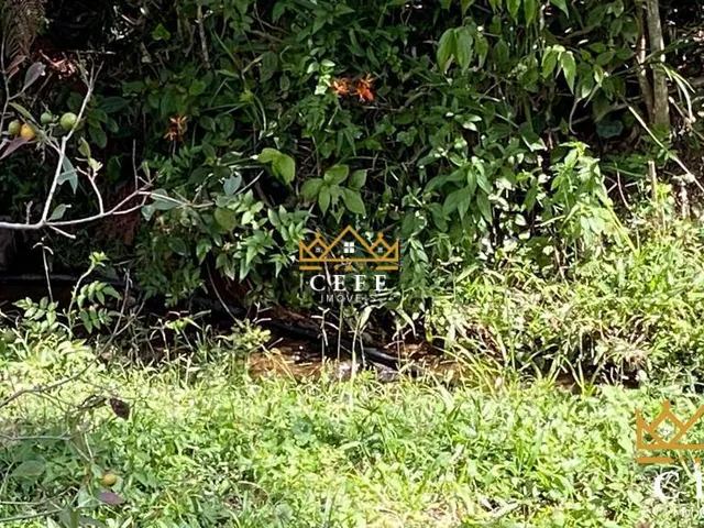 Imagem 9: Chácara Sítio com 1 Dormitorio(s) localizado(a) no bairro Padre Eterno Ilges em Santa