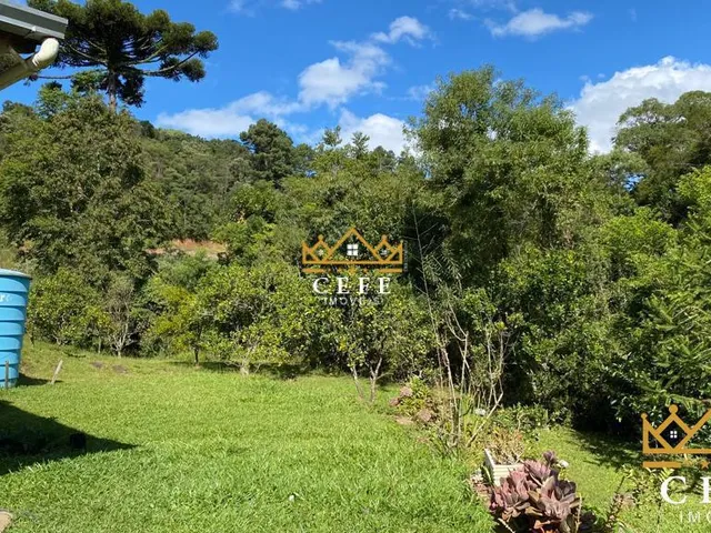 Imagem 11: Chácara Sítio com 1 Dormitorio(s) localizado(a) no bairro Padre Eterno Ilges em Santa
