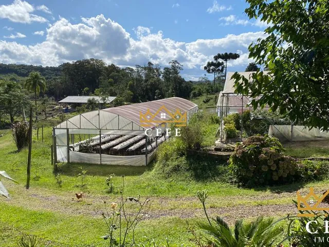 Imagem 13: Chácara Sítio com 1 Dormitorio(s) localizado(a) no bairro Padre Eterno Ilges em Santa