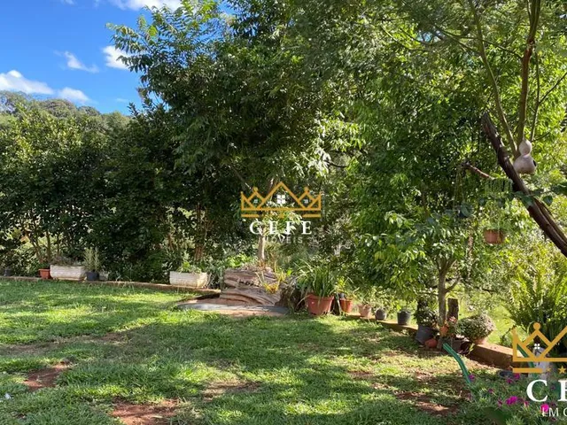 Imagem 16: Chácara Sítio com 1 Dormitorio(s) localizado(a) no bairro Padre Eterno Ilges em Santa