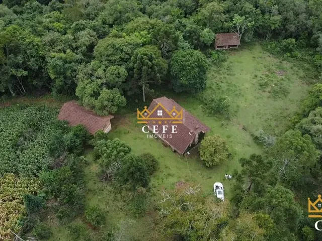 Imagem 2: Sítio para venda em Santa Maria do Herval, Linha Marcondes