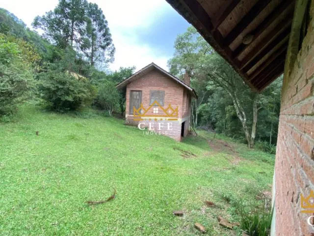 Imagem 3: Sítio para venda em Santa Maria do Herval, Linha Marcondes