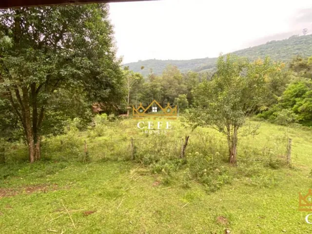 Imagem 4: Sítio para venda em Santa Maria do Herval, Linha Marcondes