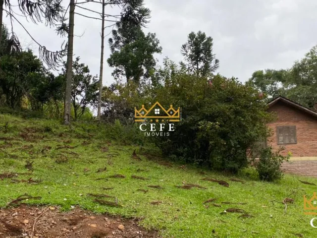 Imagem 6: Sítio para venda em Santa Maria do Herval, Linha Marcondes