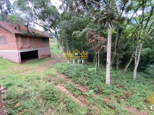 Imagem 7: Sítio para venda em Santa Maria do Herval, Linha Marcondes