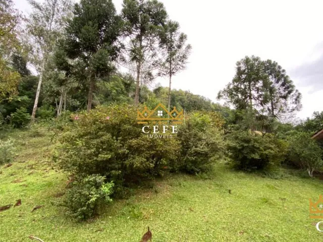 Imagem 8: Sítio para venda em Santa Maria do Herval, Linha Marcondes