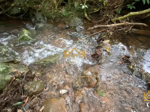 Imagem 9: Sítio para venda em Santa Maria do Herval, Linha Marcondes