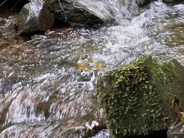 Imagem 10: Sítio para venda em Santa Maria do Herval, Linha Marcondes