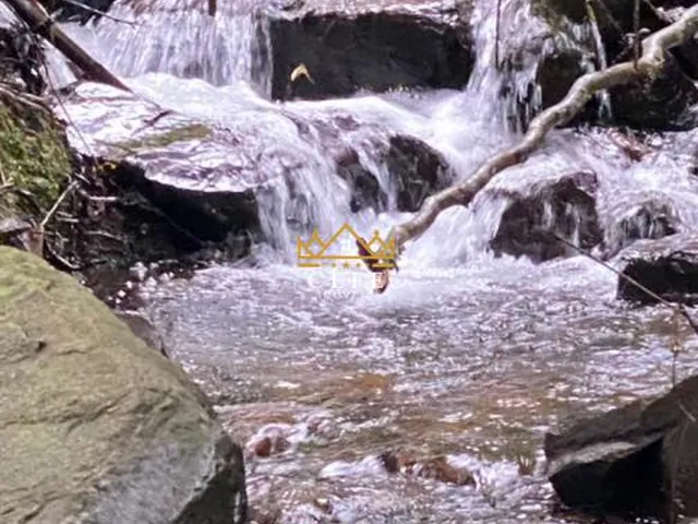 Imagem 11: Sítio para venda em Santa Maria do Herval, Linha Marcondes