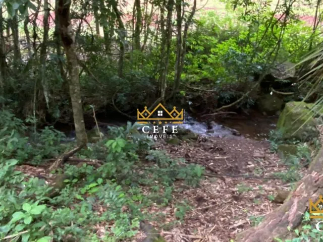 Imagem 12: Sítio para venda em Santa Maria do Herval, Linha Marcondes