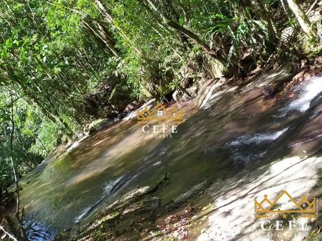 Imagem 15: Sítio para venda em Santa Maria do Herval, Linha Marcondes
