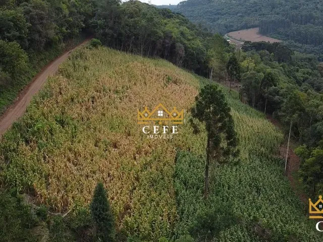 Imagem 16: Sítio para venda em Santa Maria do Herval, Linha Marcondes