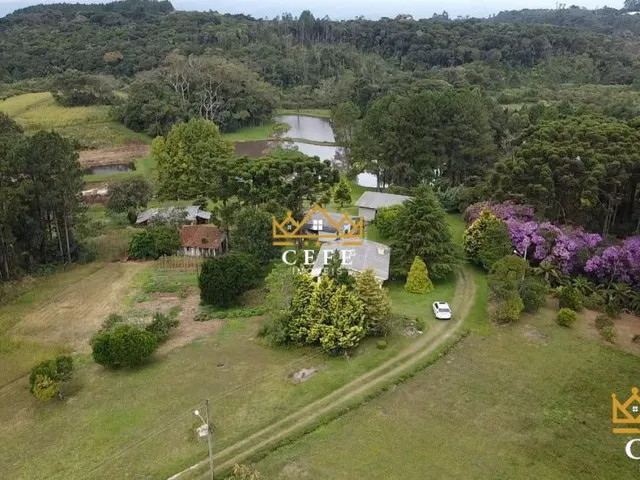 Imagem 2: Imóvel rural em Três Coroas: Chácara à venda no bairro Serra Grande - Confira!