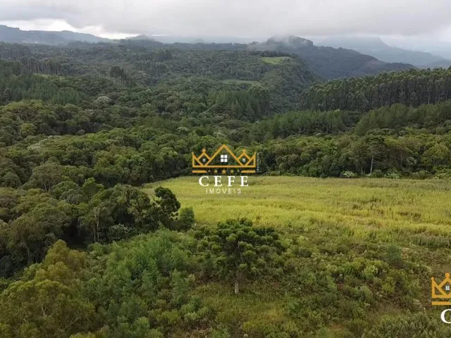 Imagem 6: Imóvel rural em Três Coroas: Chácara à venda no bairro Serra Grande - Confira!