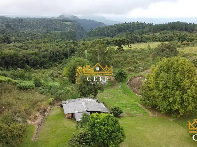 Imagem 7: Imóvel rural em Três Coroas: Chácara à venda no bairro Serra Grande - Confira!