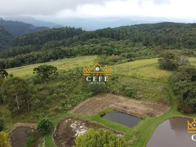 Imagem 8: Imóvel rural em Três Coroas: Chácara à venda no bairro Serra Grande - Confira!