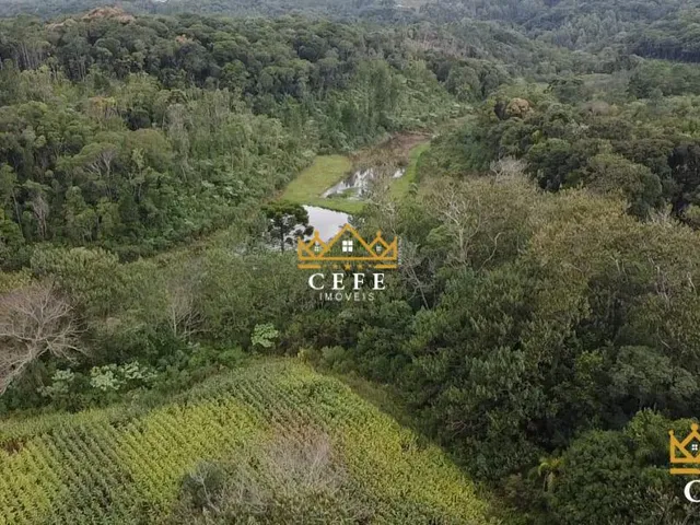 Imagem 10: Imóvel rural em Três Coroas: Chácara à venda no bairro Serra Grande - Confira!