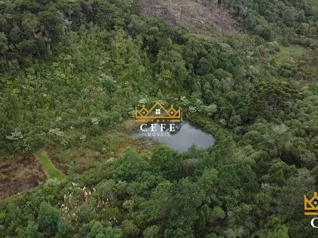 Imagem 12: Imóvel rural em Três Coroas: Chácara à venda no bairro Serra Grande - Confira!