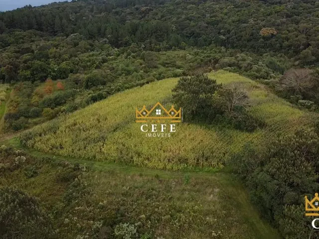Imagem 14: Imóvel rural em Três Coroas: Chácara à venda no bairro Serra Grande - Confira!