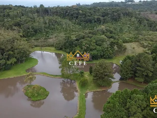 Imagem 16: Imóvel rural em Três Coroas: Chácara à venda no bairro Serra Grande - Confira!