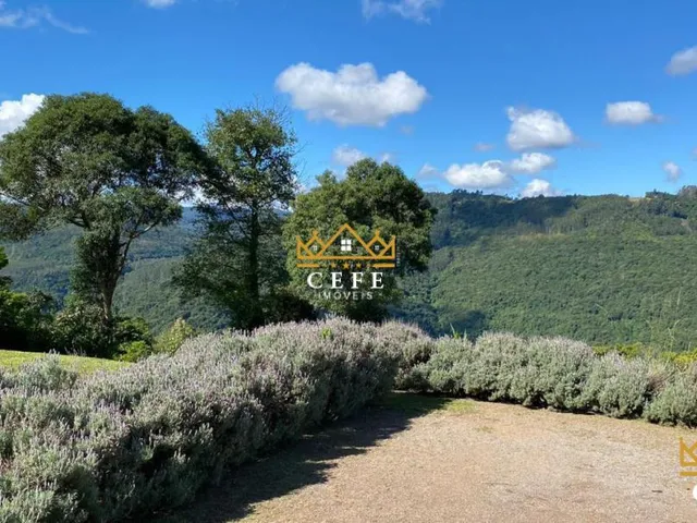 Imagem 2: Sítio em Nova Petrópolis: Chácara à venda na Zona Rural - 300m² de construção