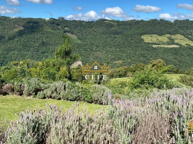 Imagem 3: Sítio em Nova Petrópolis: Chácara à venda na Zona Rural - 300m² de construção