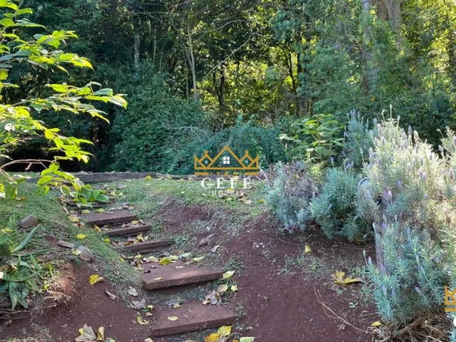 Imagem 4: Sítio em Nova Petrópolis: Chácara à venda na Zona Rural - 300m² de construção