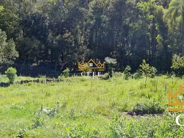 Imagem 7: Casa muito bem localizada, com terreno de 4.125m² em Dois Irmãos / RS