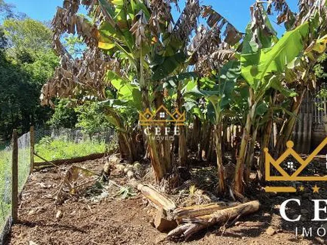 Imagem 10: Casa muito bem localizada, com terreno de 4.125m² em Dois Irmãos / RS