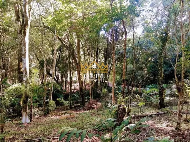 Imagem 16: Casa com terreno de 3.850m² no bairro Travessão em Dois Irmãos / RS