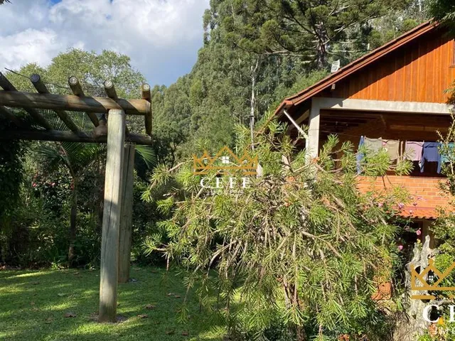 Imagem 5: Oportunidade: Chácara - Sítio em Santa Maria do Herval, Padre Eterno Ilges - Venda