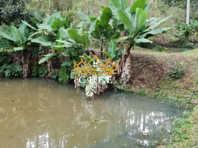 Imagem 3: Sítio à venda em Nova Petrópolis - Canto Schenkel - 165m²