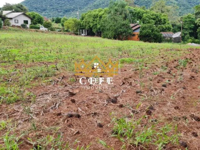 Imagem 4: Sítio à venda em Nova Petrópolis - Canto Schenkel - 165m²