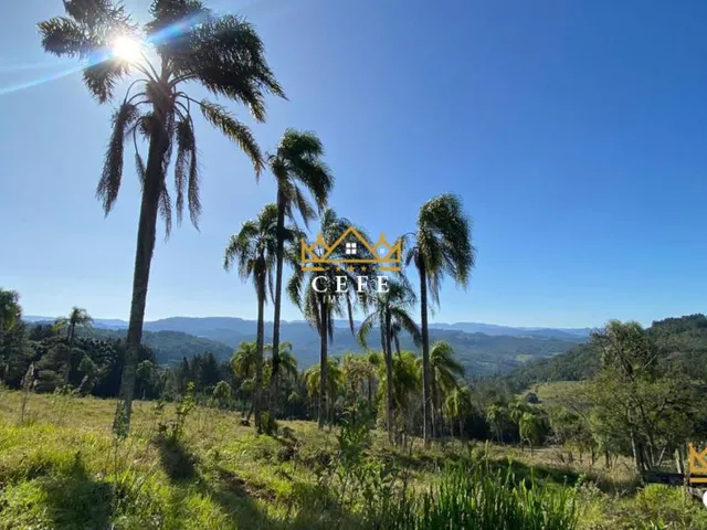 Imagem: Sua chácara de 2 hectares em Três Coroas