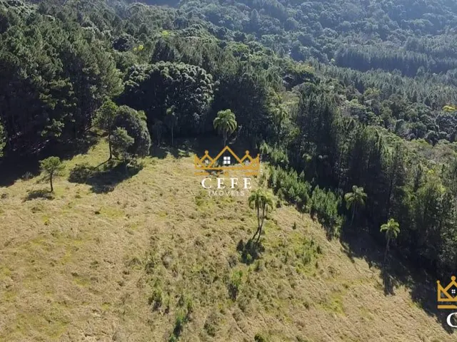 Imagem 2: Sua chácara de 2 hectares em Três Coroas - RS