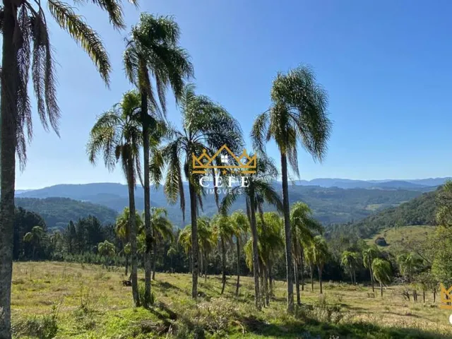 Imagem 3: Sua chácara de 2 hectares em Três Coroas - RS