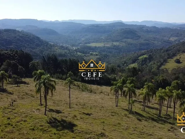 Imagem 4: Sua chácara de 2 hectares em Três Coroas - RS