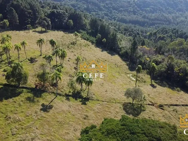 Imagem 5: Sua chácara de 2 hectares em Três Coroas - RS