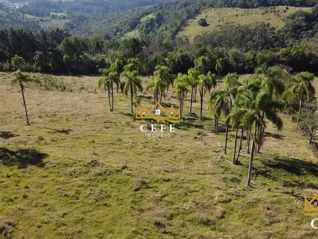 Imagem 6: Sua chácara de 2 hectares em Três Coroas - RS